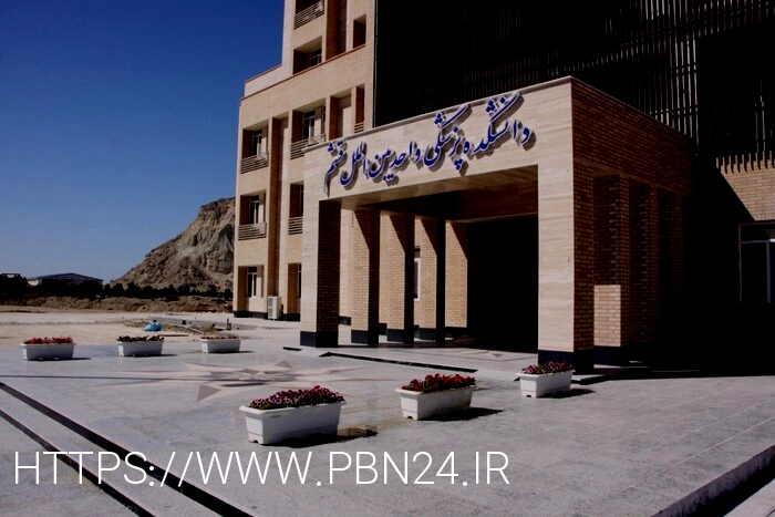دانشگاه